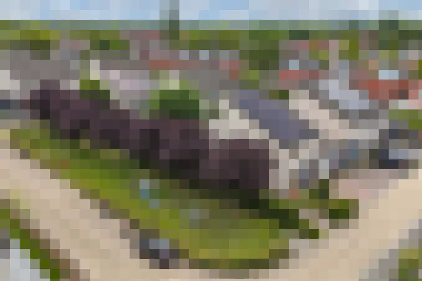 Cannenburch 160 Lelystad thumbnail 60