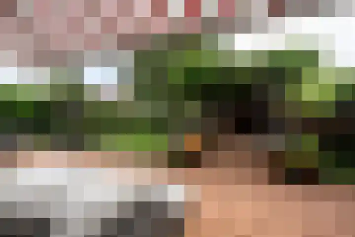 Cannenburch 32 Lelystad thumbnail 38
