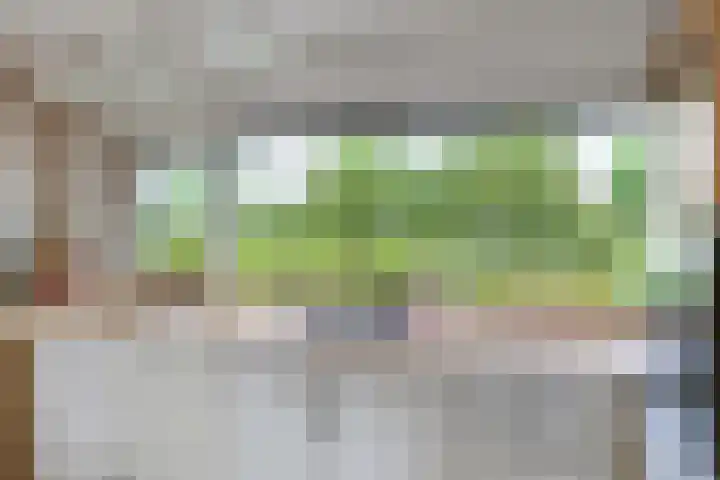 Cannenburch 4 Lelystad thumbnail 11