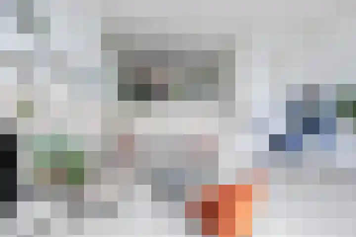 Cannenburch 4 Lelystad thumbnail 17
