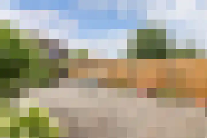 Cannenburch 4 Lelystad thumbnail 20