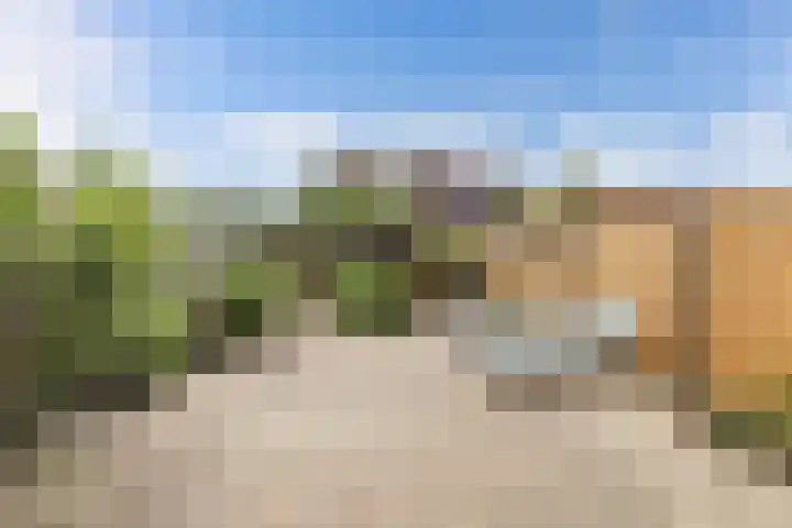 Cannenburch 4 Lelystad thumbnail 22