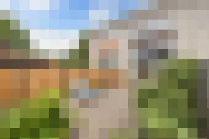 Cannenburch 4 Lelystad thumbnail 23