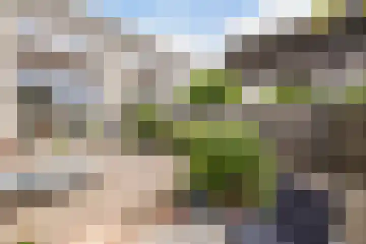 Cannenburch 4 Lelystad thumbnail 25