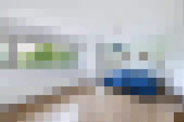 Cannenburch 4 Lelystad thumbnail 27