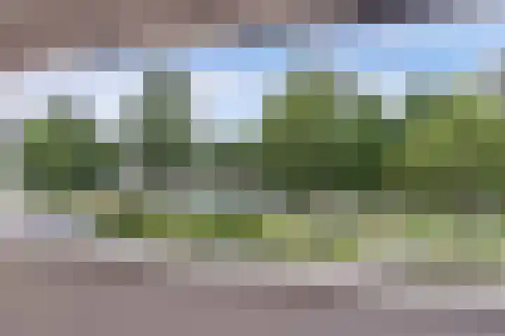 Cannenburch 4 Lelystad thumbnail 29