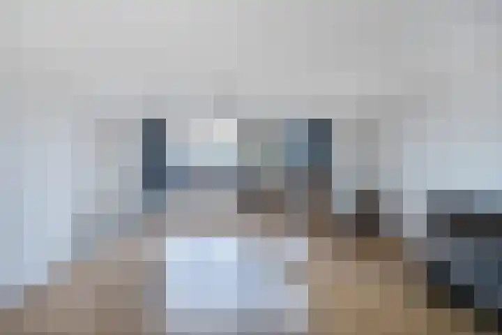 Cannenburch 4 Lelystad thumbnail 39