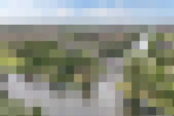 Cannenburch 4 Lelystad thumbnail 51