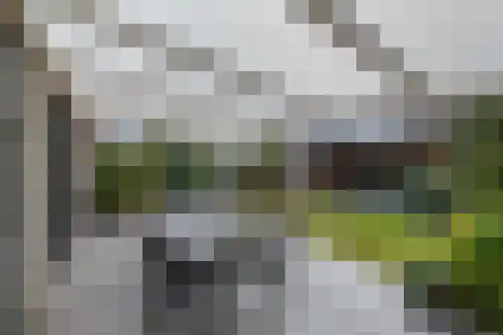 Cannenburch 98 Lelystad thumbnail 47