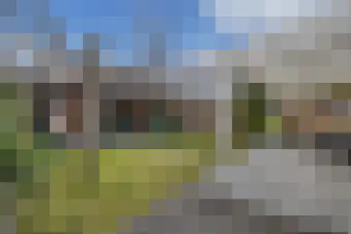 Cannenburch 98 Lelystad thumbnail 48