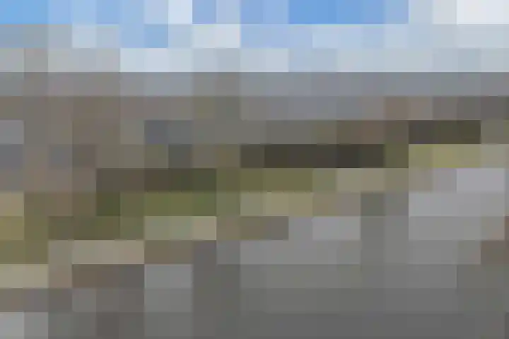 Cannenburch 98 Lelystad thumbnail 5