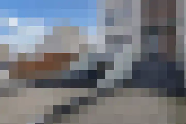 Cannenburch 98 Lelystad thumbnail 9