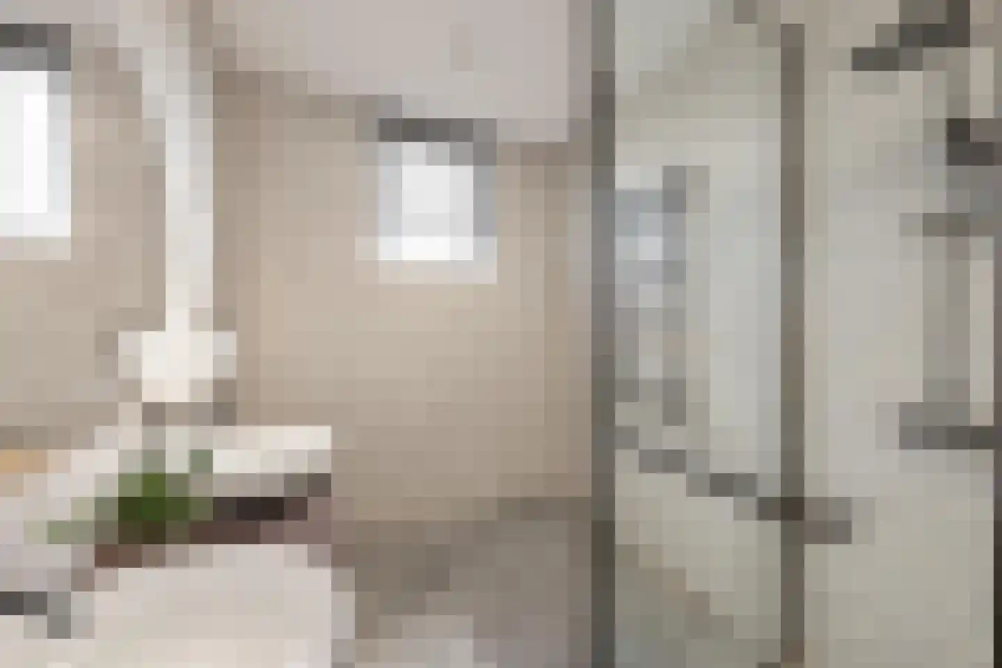 Cannenburchstraat 8 Rotterdam thumbnail 16