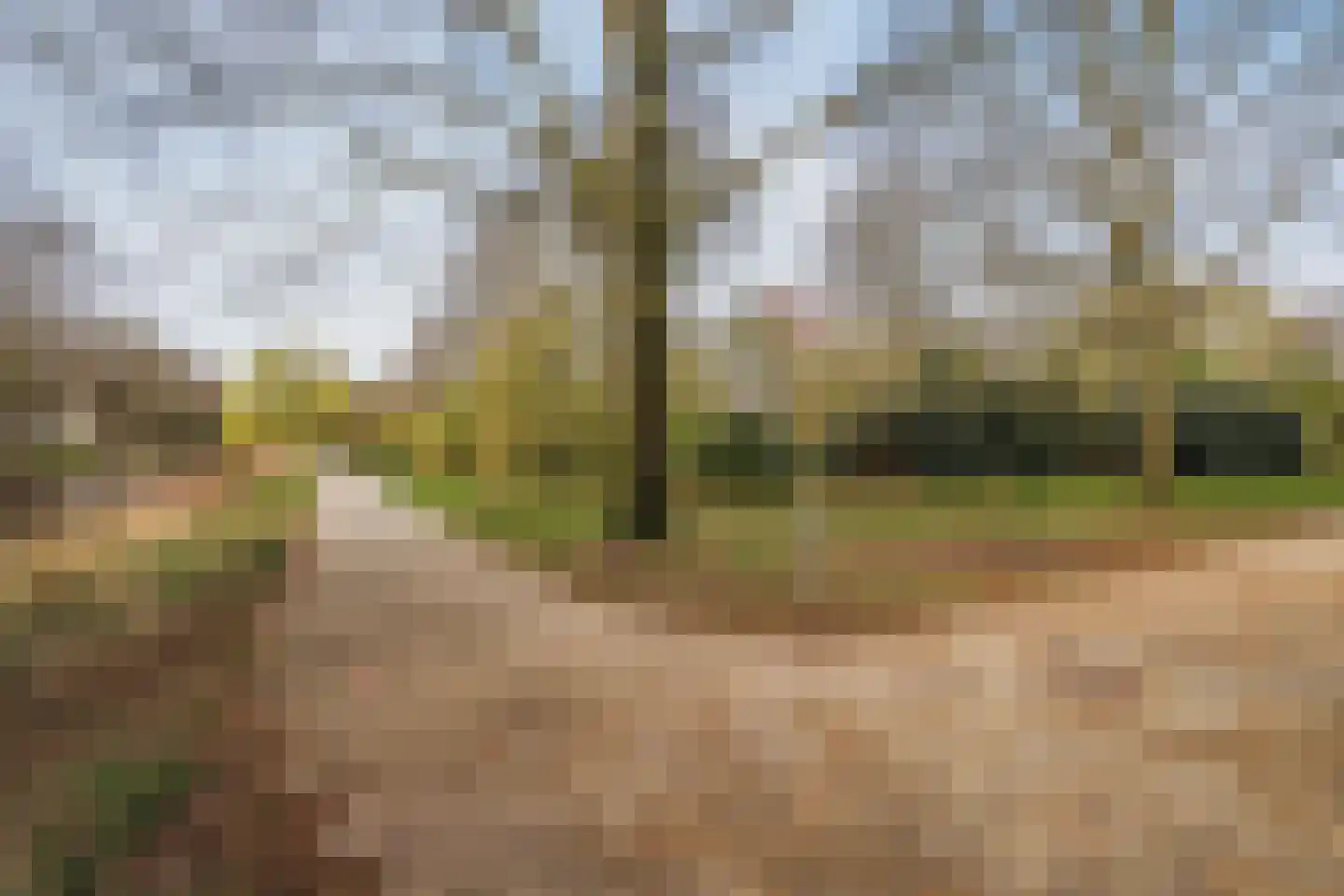 Cannenburg 10 B Amsterdam thumbnail 36