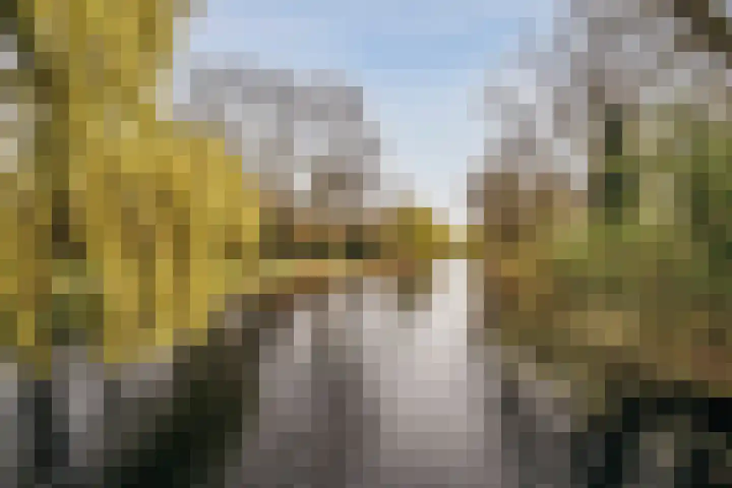 Cannenburg 10 B Amsterdam thumbnail 37