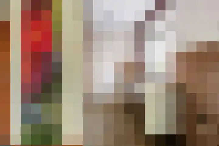 Cannenburg 107 Dordrecht thumbnail 16
