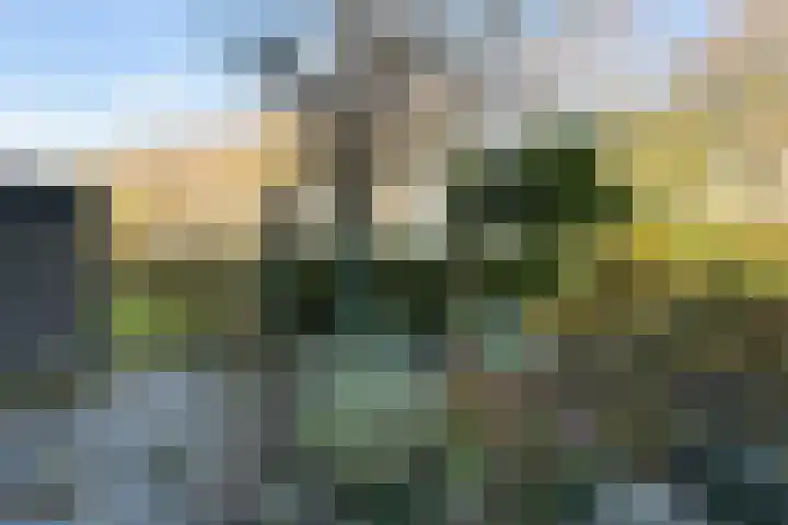 Cannenburg 107 Dordrecht thumbnail 4