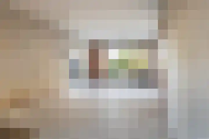 Cannenburg 107 Dordrecht thumbnail 8