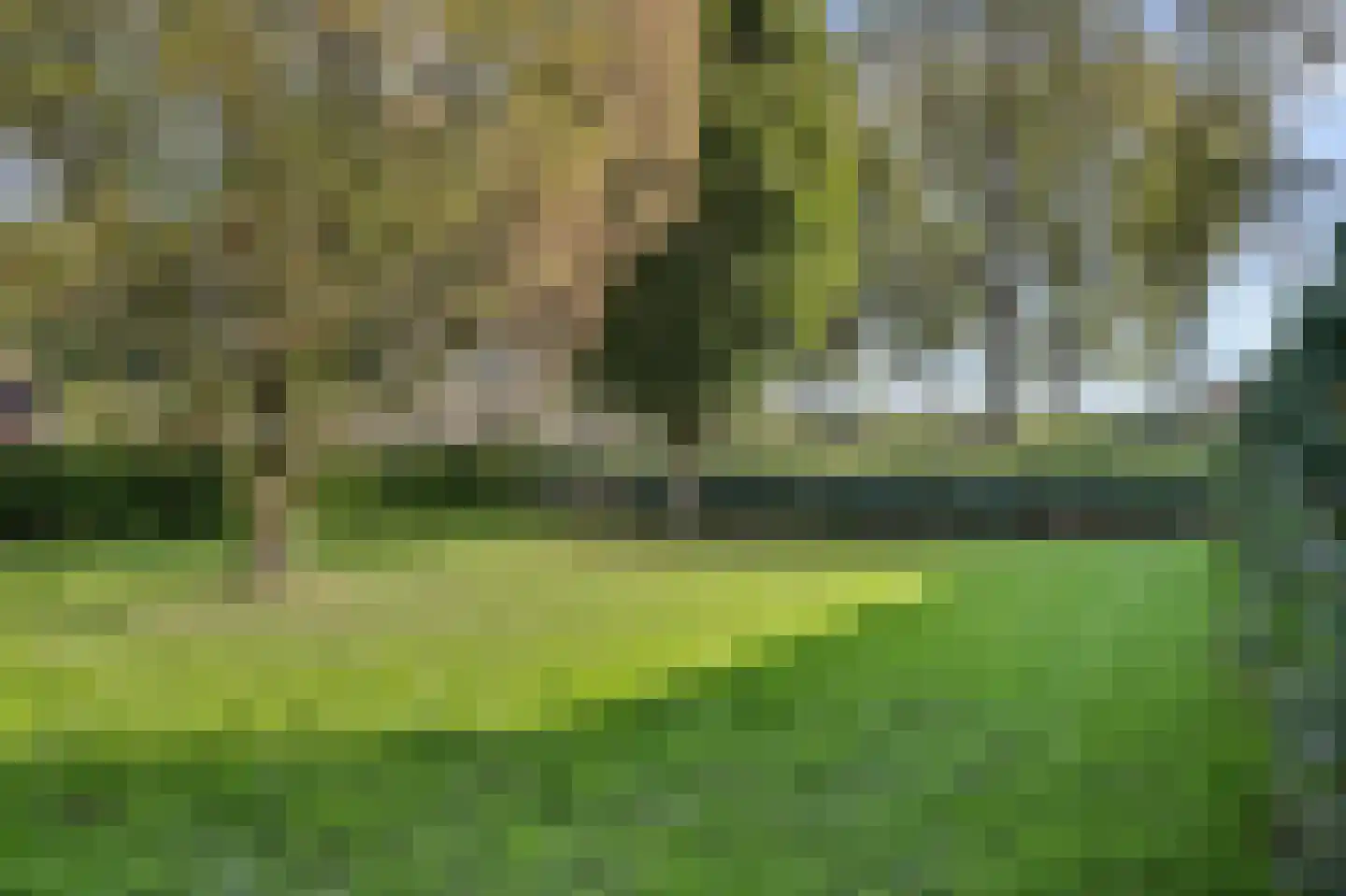 Cannenburg 114 Dordrecht thumbnail 33