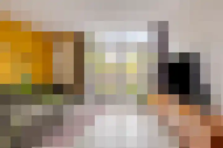Cannenburg 16 Alkmaar thumbnail 14