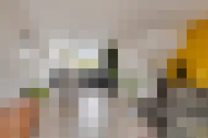 Cannenburg 16 Alkmaar thumbnail 15