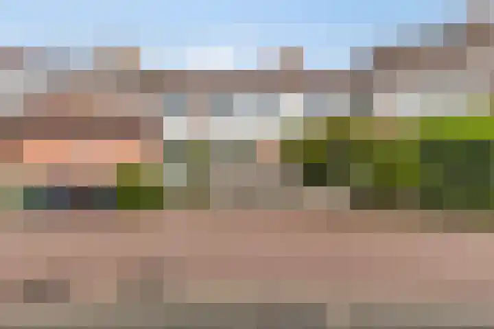 Cannenburg 16 Alkmaar thumbnail 33
