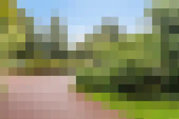 Cannenburg 16 Alkmaar thumbnail 38