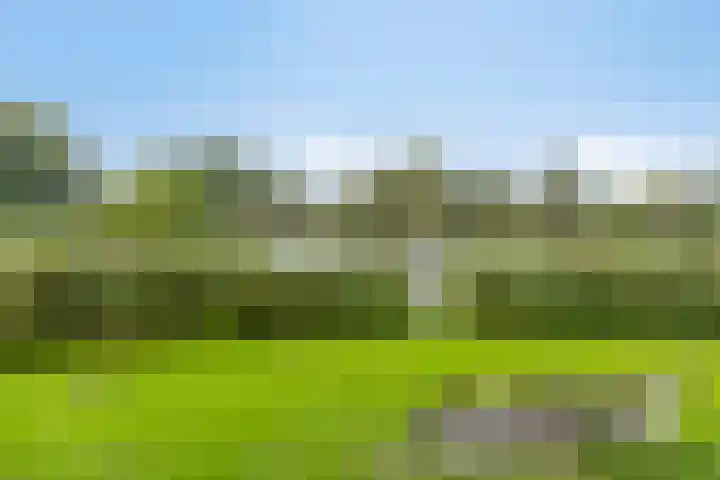 Cannenburg 16 Alkmaar thumbnail 39