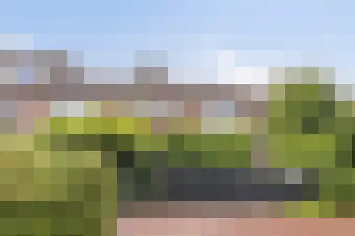 Cannenburg 16 Alkmaar thumbnail 4