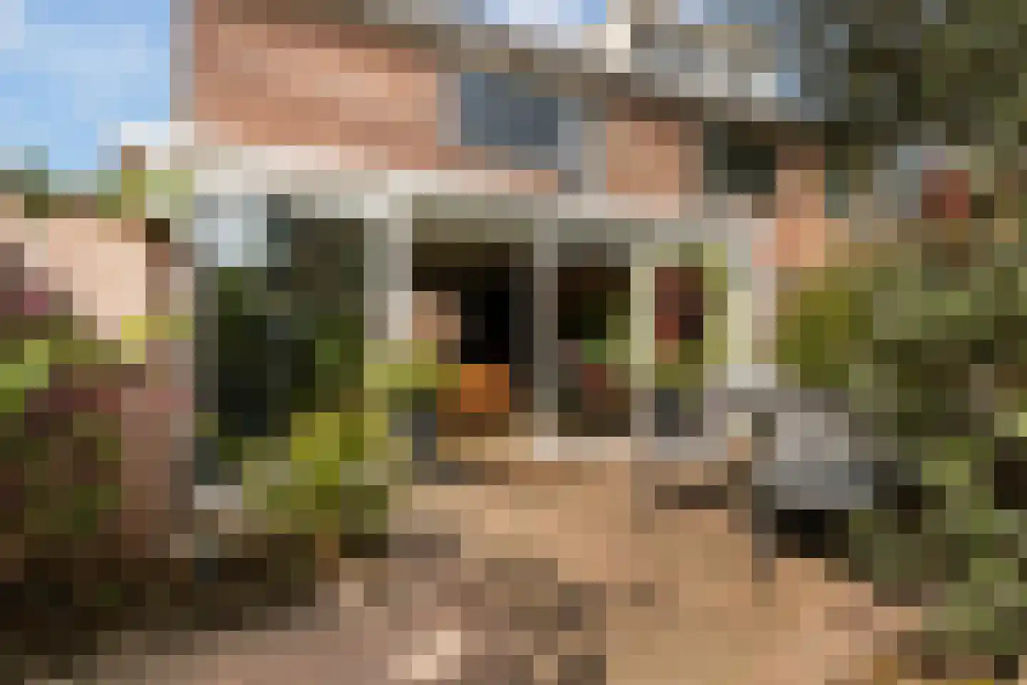 Cannenburg 168 Dordrecht thumbnail 5