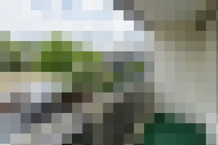 Cannenburg 18 Barneveld thumbnail 27