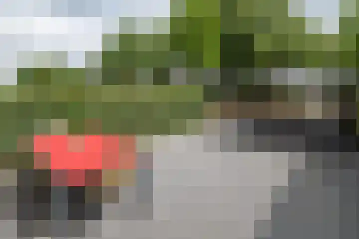 Cannenburg 18 Barneveld thumbnail 33