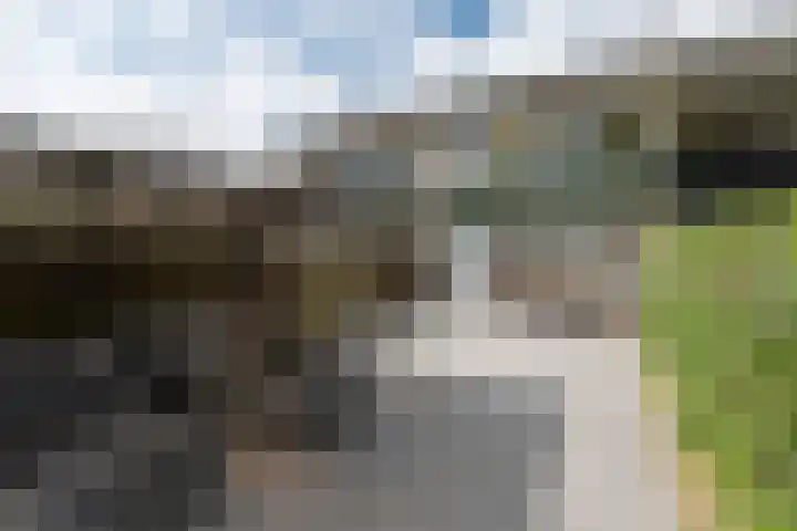 Cannenburg 18 Barneveld thumbnail 34