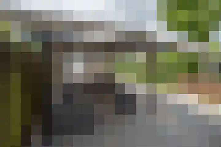 Cannenburg 18 Barneveld thumbnail 37
