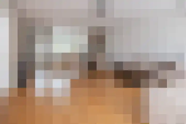 Cannenburg 18 Barneveld thumbnail 4