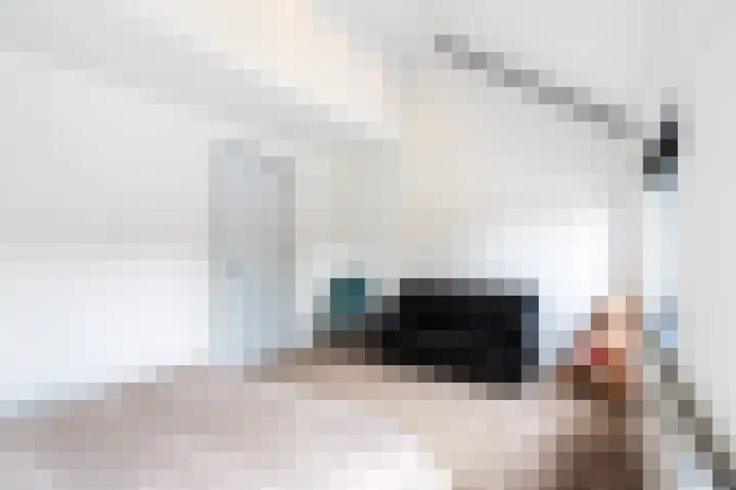 Cannenburg 27 Dordrecht thumbnail 24
