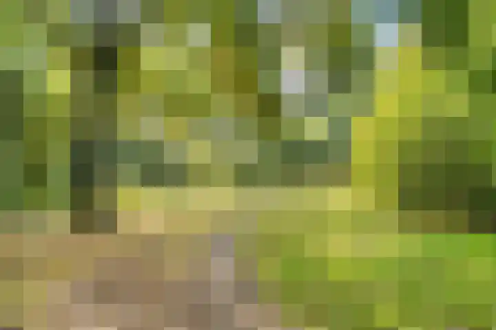 Cannenburg 3 Amsterdam thumbnail 33