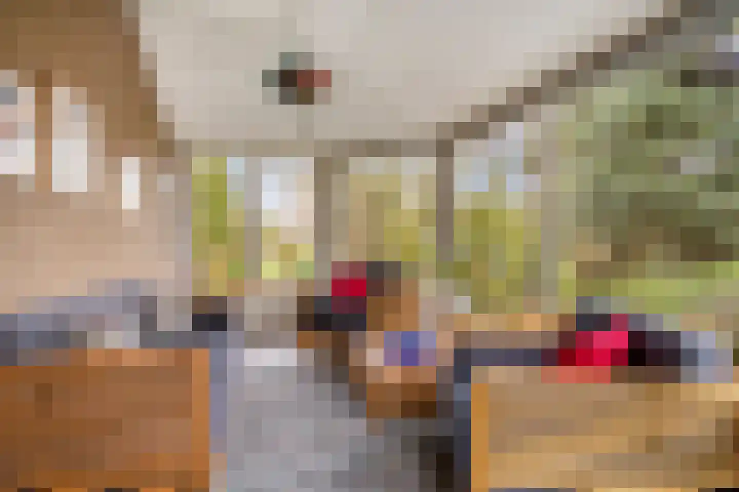 Cannenburg 40 Barneveld thumbnail 13