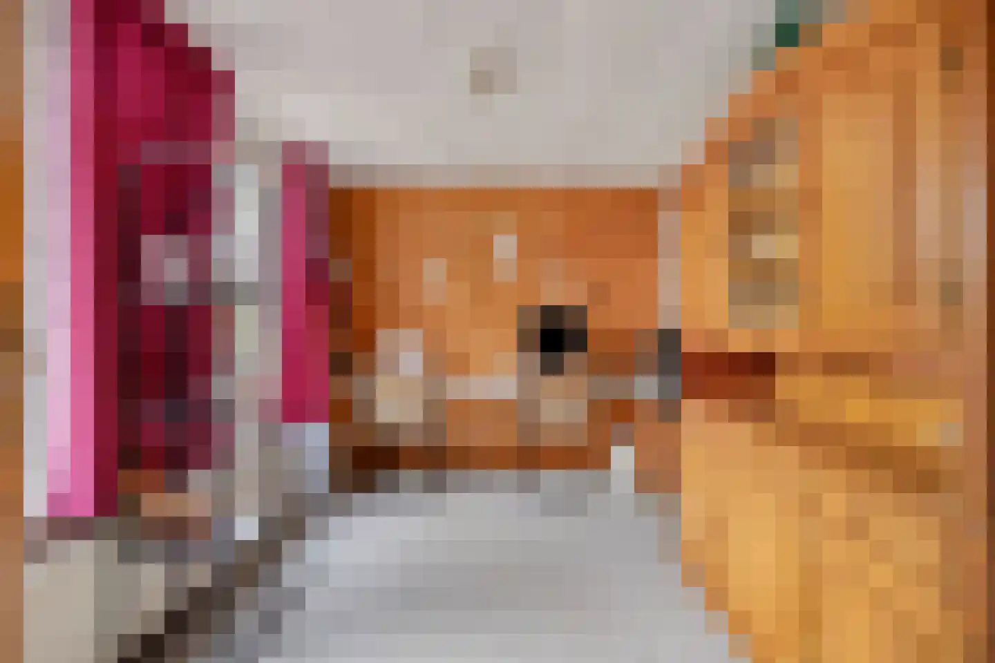 Cannenburg 40 Barneveld thumbnail 15