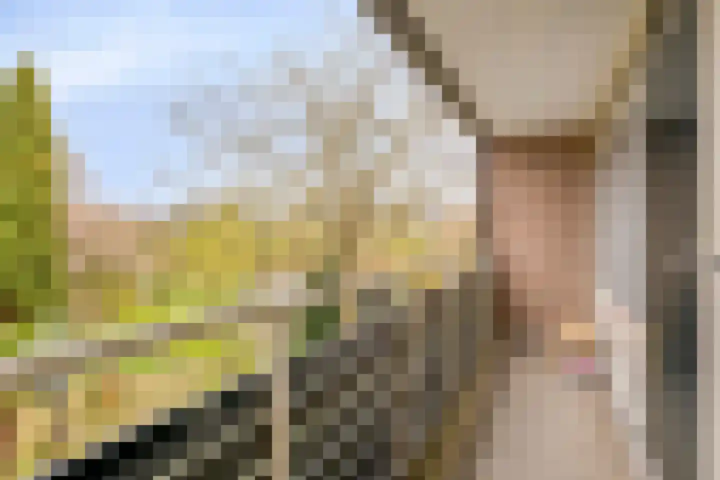 Cannenburg 40 Barneveld thumbnail 25