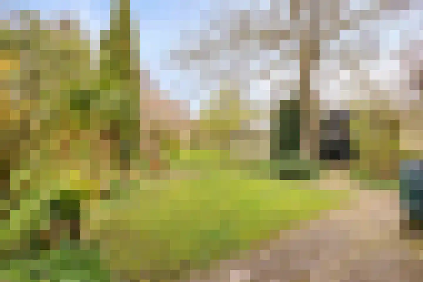Cannenburg 40 Barneveld thumbnail 32