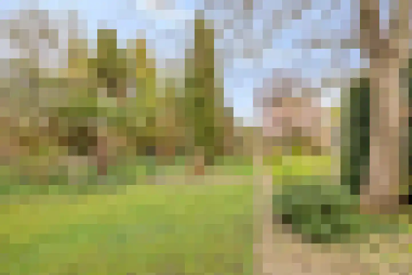 Cannenburg 40 Barneveld thumbnail 33