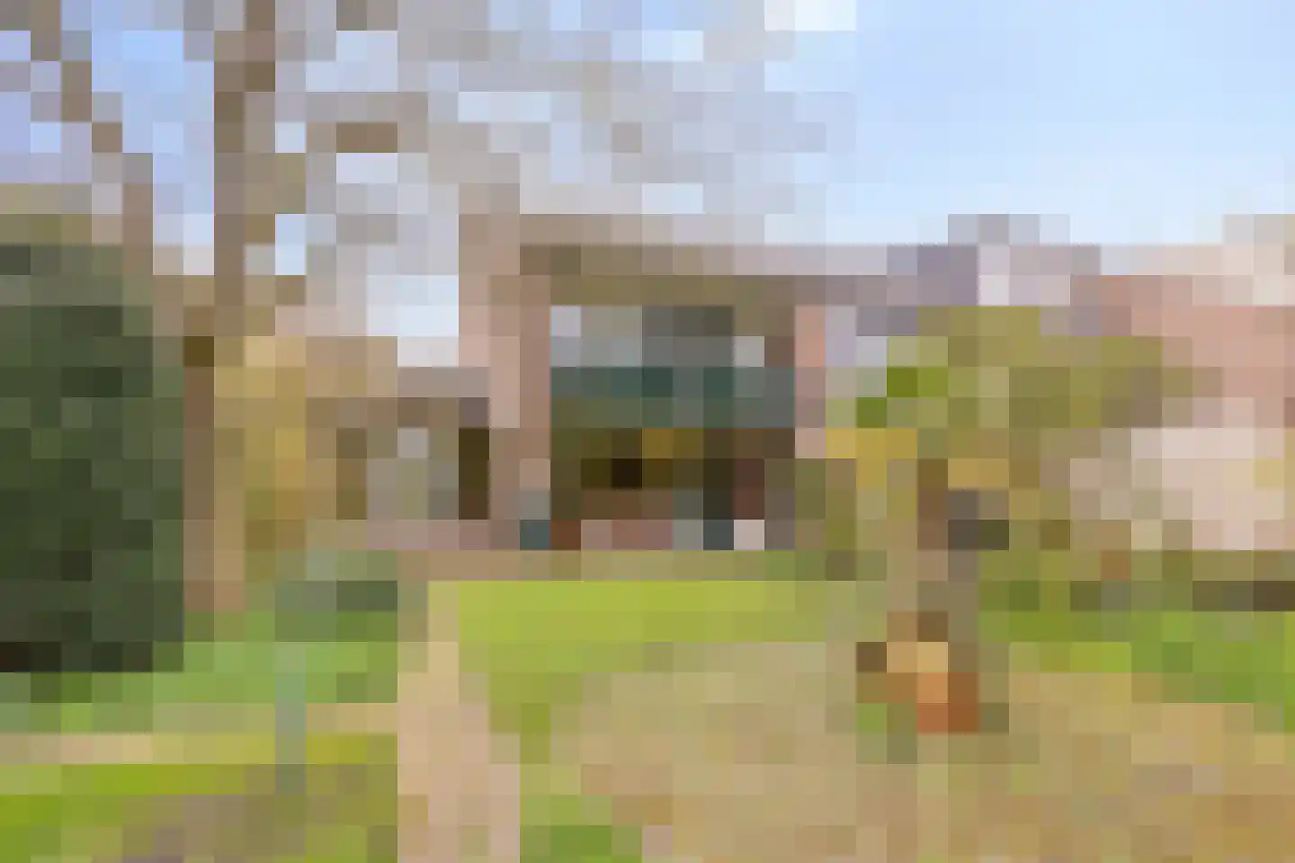 Cannenburg 40 Barneveld thumbnail 34