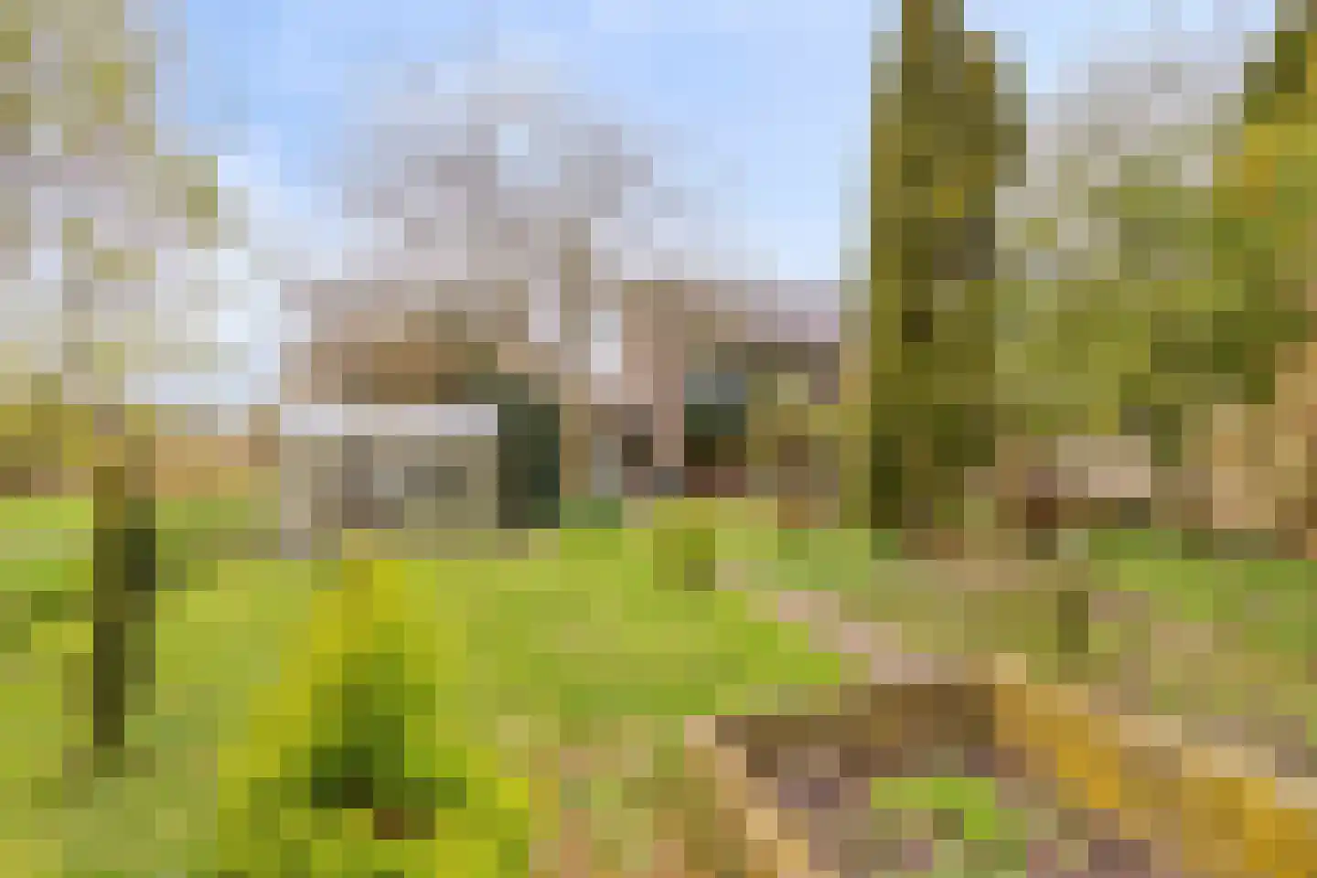 Cannenburg 40 Barneveld thumbnail 35