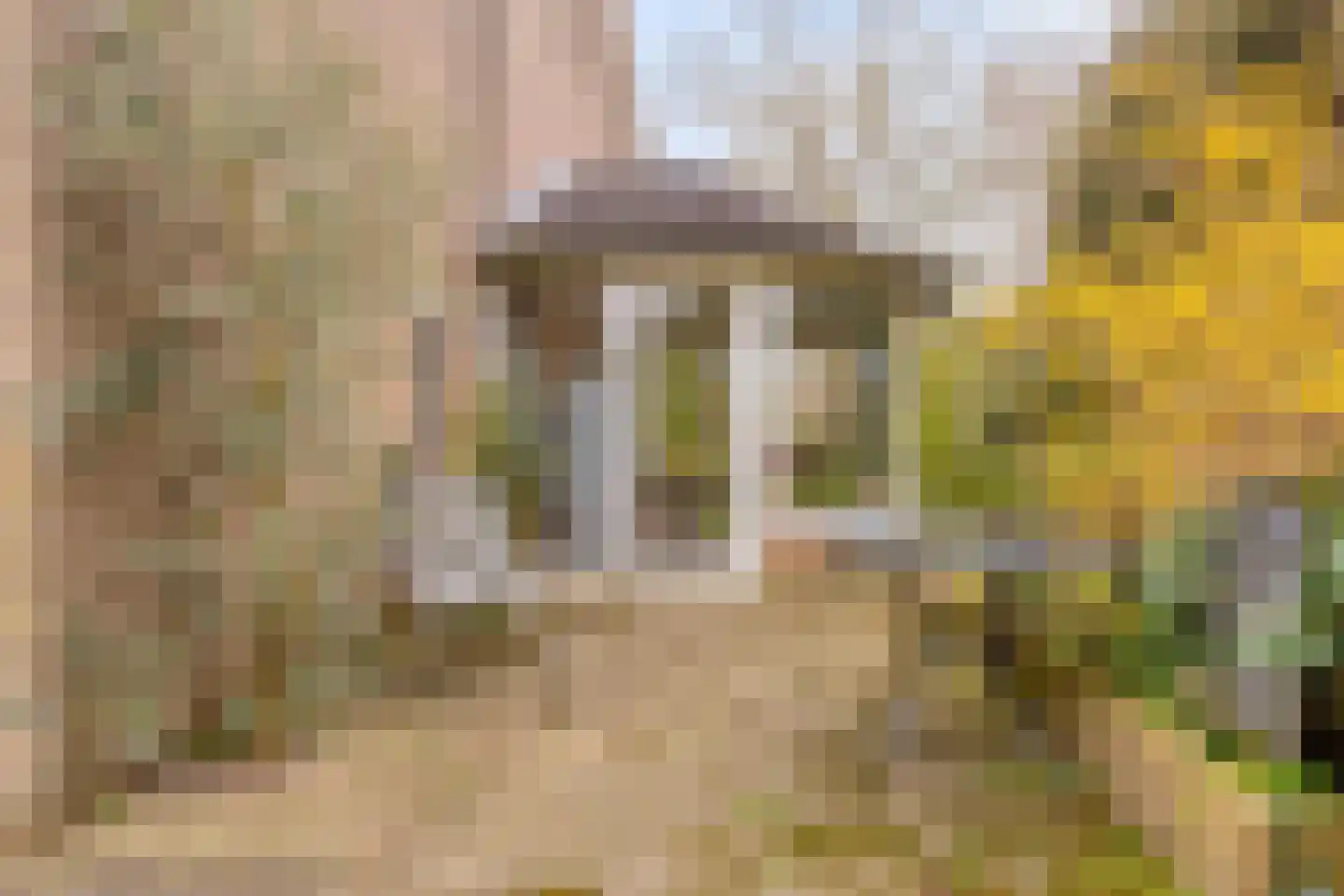 Cannenburg 40 Barneveld thumbnail 36