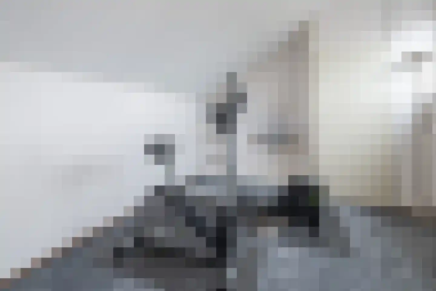 Cannenburg 44 Barneveld thumbnail 31
