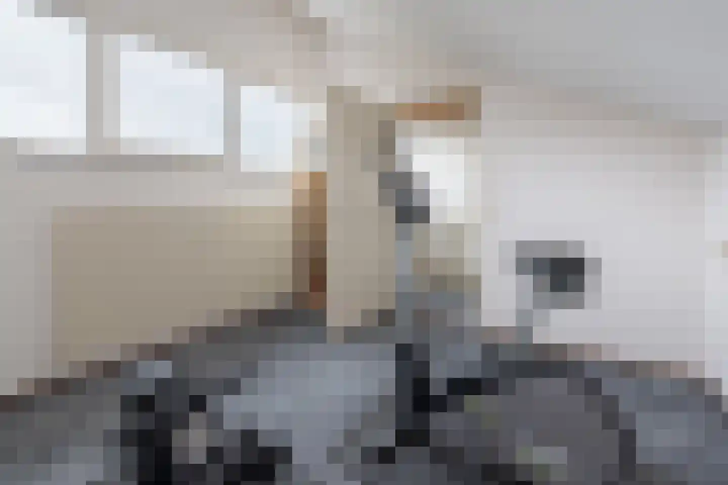 Cannenburg 44 Barneveld thumbnail 32