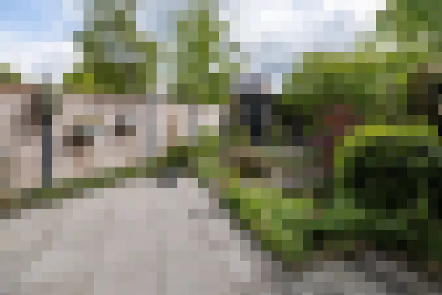 Cannenburg 44 Barneveld thumbnail 38