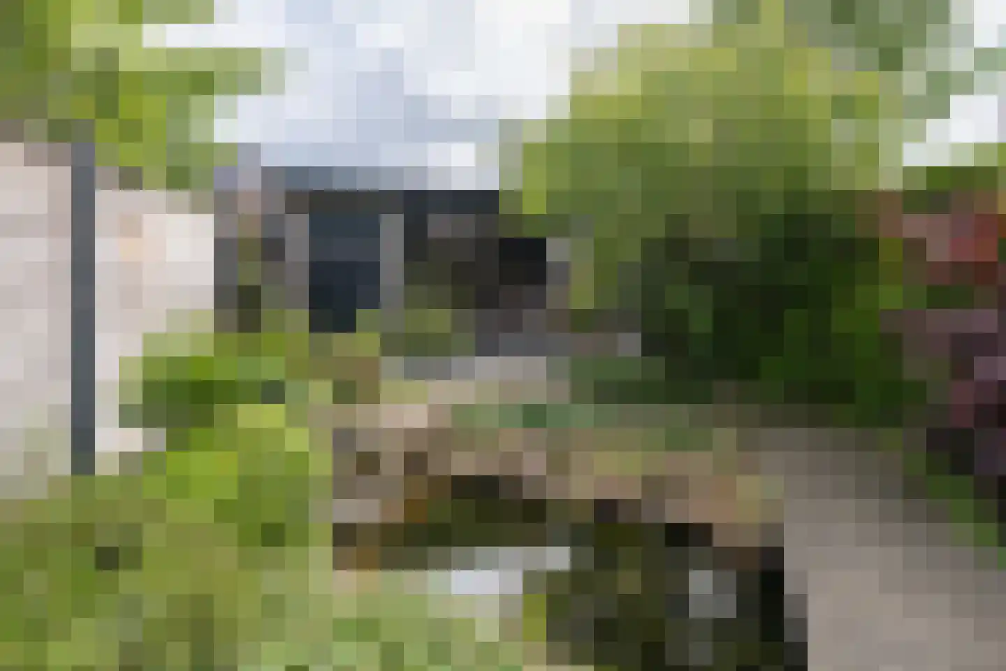 Cannenburg 44 Barneveld thumbnail 39