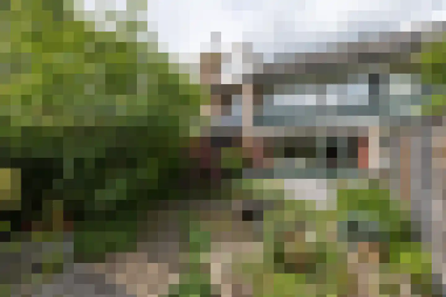 Cannenburg 44 Barneveld thumbnail 44